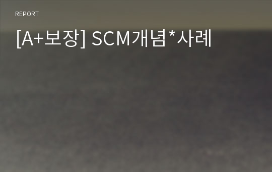 [A+보장] SCM개념*사례