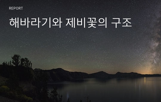 해바라기와 제비꽃의 구조