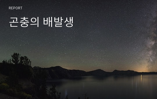 곤충의 배발생