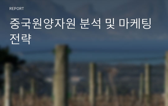 중국원양자원 분석 및 마케팅전략