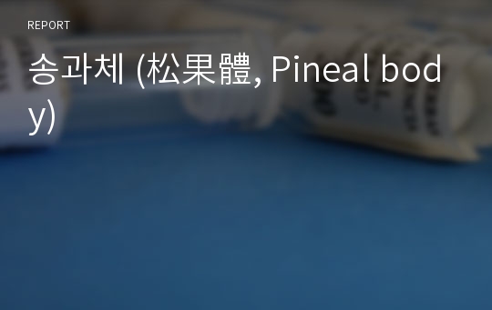 송과체 (松果體, Pineal body)