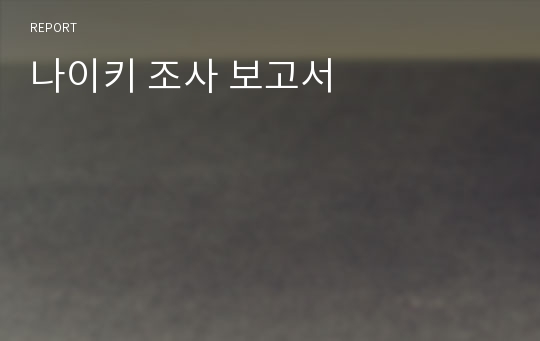 나이키 조사 보고서