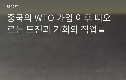 중국의 WTO 가입 이후 떠오르는 도전과 기회의 직업들