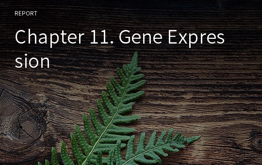 Chapter 11. Gene Expression