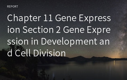 Chapter 11 Gene Expression Section 2 Gene Expression in Development and Cell Division