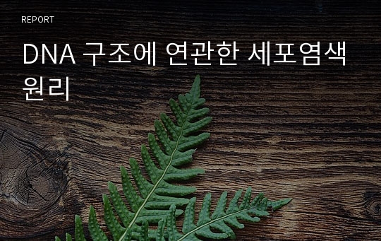 DNA 구조에 연관한 세포염색원리