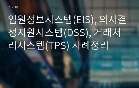 임원정보시스템(EIS), 의사결정지원시스템(DSS), 거래처리시스템(TPS) 사례정리