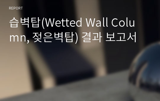 습벽탑(Wetted Wall Column, 젖은벽탑) 결과 보고서