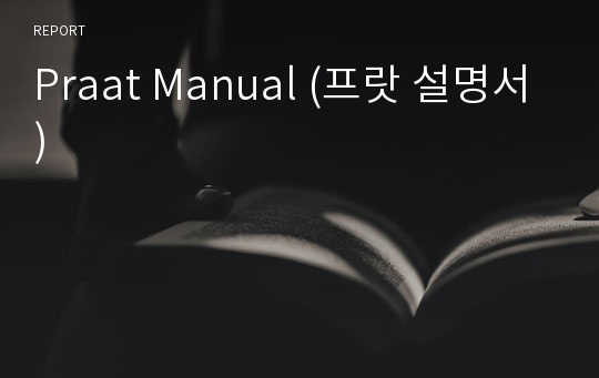 Praat Manual (프랏 설명서)