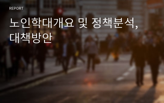 노인학대개요 및 정책분석, 대책방안