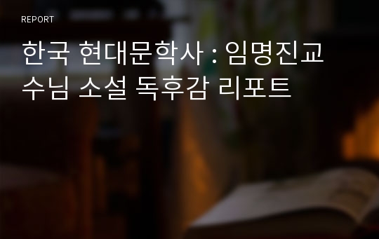 한국 현대문학사 : 임명진교수님 소설 독후감 리포트