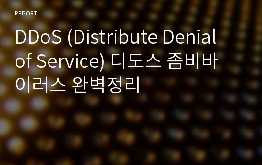 DDoS (Distribute Denial of Service) 디도스 좀비바이러스 완벽정리