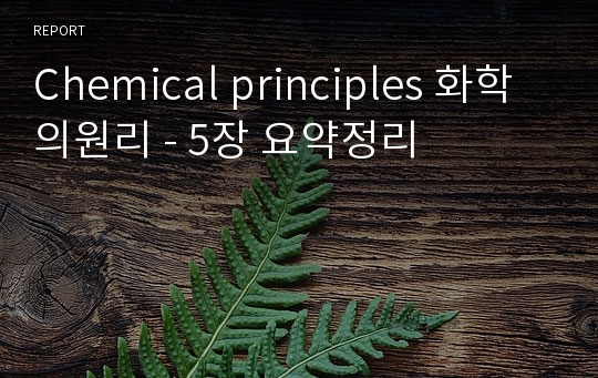 Chemical principles 화학의원리 - 5장 요약정리