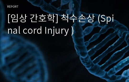 [임상 간호학] 척수손상 (Spinal cord Injury )