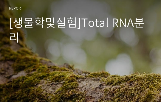 [생물학및실험]Total RNA분리