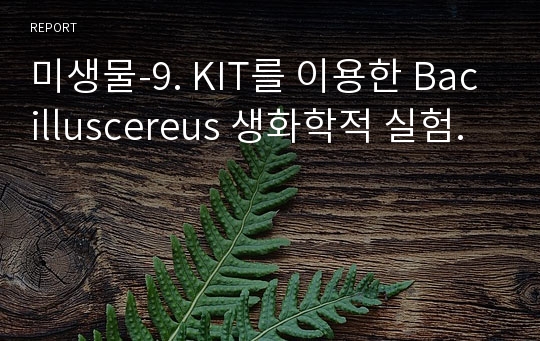 미생물-9. KIT를 이용한 Bacilluscereus 생화학적 실험.