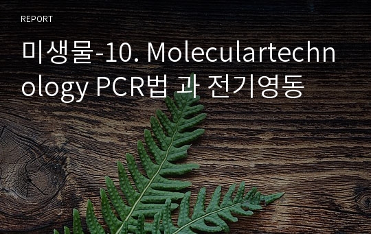 미생물-10. Moleculartechnology PCR법 과 전기영동