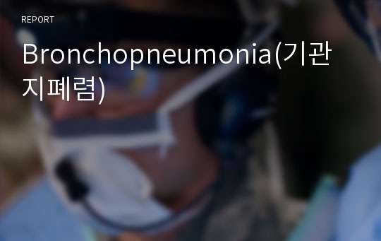 Bronchopneumonia(기관지폐렴)