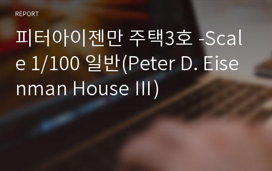 피터아이젠만 주택3호 -Scale 1/100 일반(Peter D. Eisenman House Ⅲ)