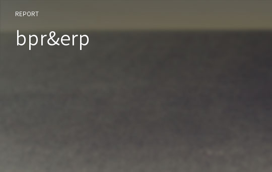 bpr&amp;erp