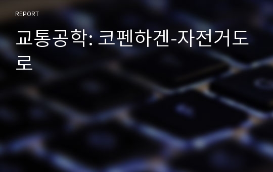 교통공학: 코펜하겐-자전거도로