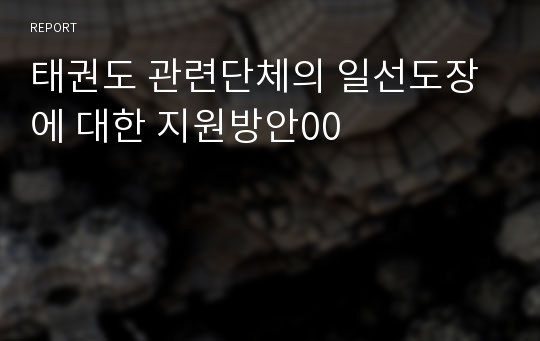 태권도 관련단체의 일선도장에 대한 지원방안00