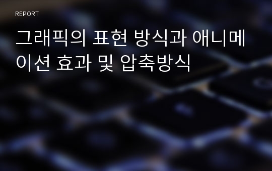 그래픽의 표현 방식과 애니메이션 효과 및 압축방식