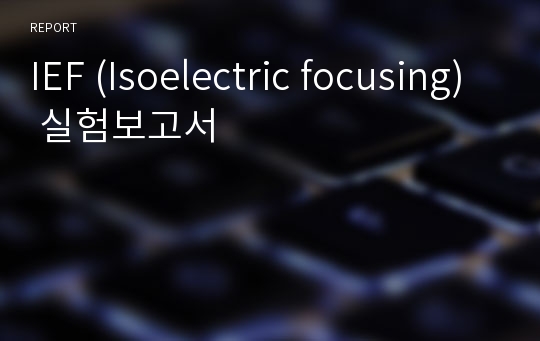 IEF (Isoelectric focusing) 실험보고서