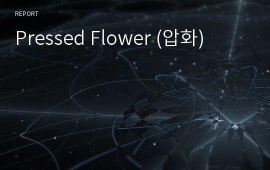 Pressed Flower (압화)