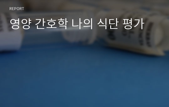 영양 간호학 나의 식단 평가