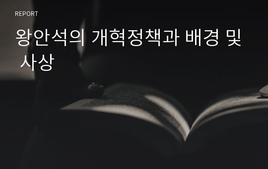 왕안석의 개혁정책과 배경 및 사상