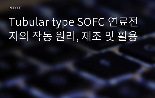 Tubular type SOFC 연료전지의 작동 원리, 제조 및 활용