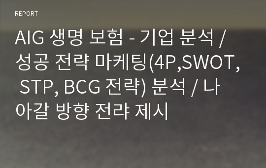 AIG 생명 보험 - 기업 분석 / 성공 전략 마케팅(4P,SWOT, STP, BCG 전략) 분석 / 나아갈 방향 전랴 제시