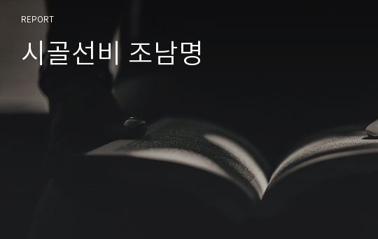 시골선비 조남명