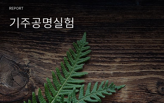 기주공명실험