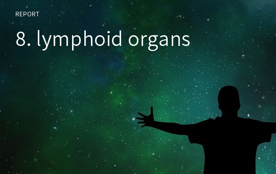 8. lymphoid organs