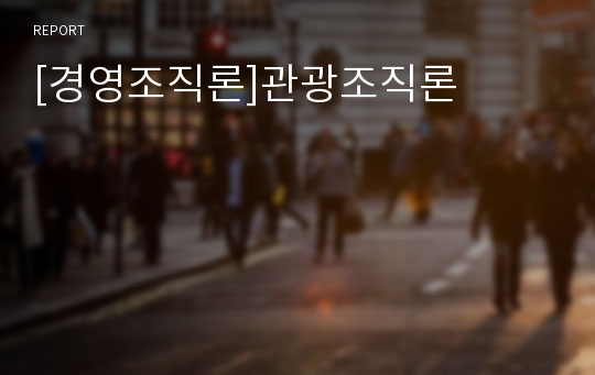 [경영조직론]관광조직론