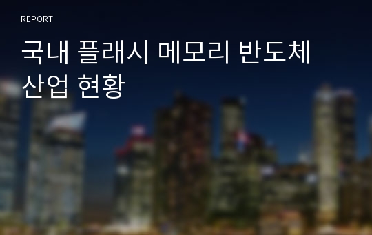 국내 플래시 메모리 반도체 산업 현황