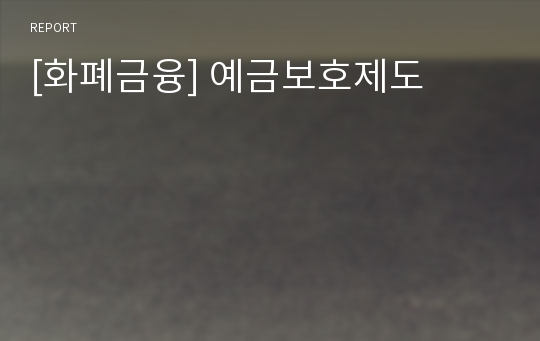 [화폐금융] 예금보호제도