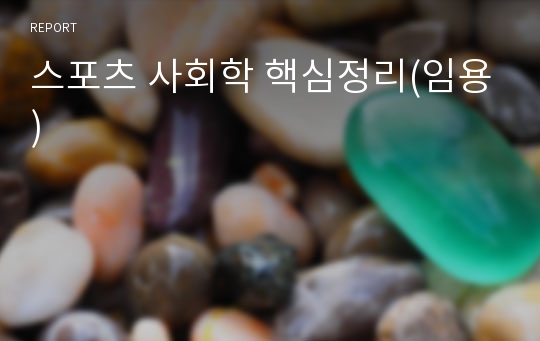 스포츠 사회학 핵심정리(임용)