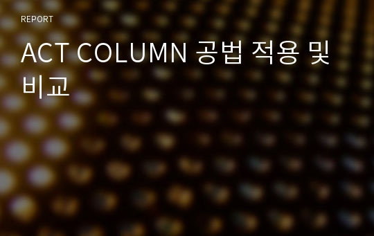 ACT COLUMN 공법 적용 및 비교