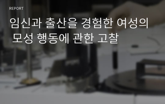 임신과 출산을 경험한 여성의 모성 행동에 관한 고찰