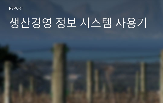 생산경영 정보 시스템 사용기