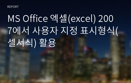 MS Office 엑셀(excel) 2007에서 사용자 지정 표시형식(셀서식) 활용