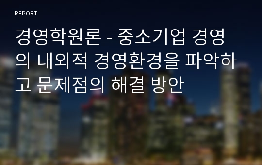 경영학원론 - 중소기업 경영의 내외적 경영환경을 파악하고 문제점의 해결 방안