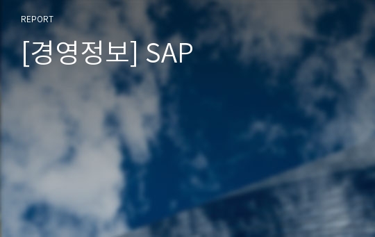 [경영정보] SAP