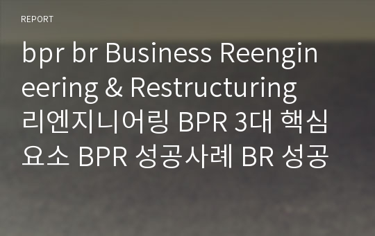 bpr br Business Reengineering &amp; Restructuring 리엔지니어링 BPR 3대 핵심요소 BPR 성공사례 BR 성공사례