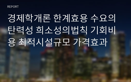 경제학개론 한계효용 수요의탄력성 희소성의법칙 기회비용 최적시설규모 가격효과