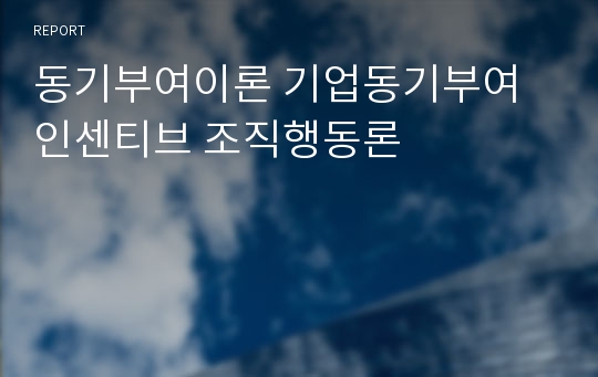 동기부여이론 기업동기부여  인센티브 조직행동론