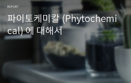 파이토케미칼 (Phytochemical) 에 대해서
